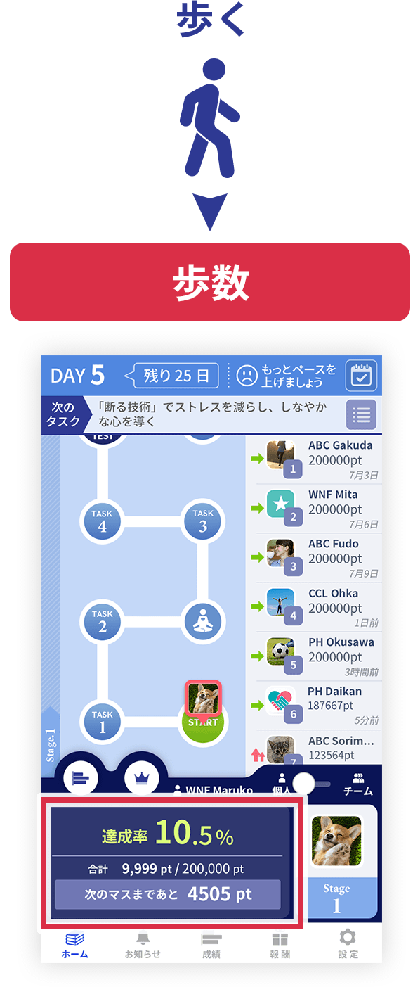 歩く 歩数